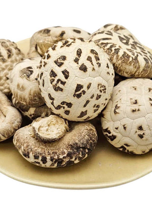 SNOW WHITE DRIED SHIITAKE MUSHROOM 星宇天白花菇(3.3-4CM)