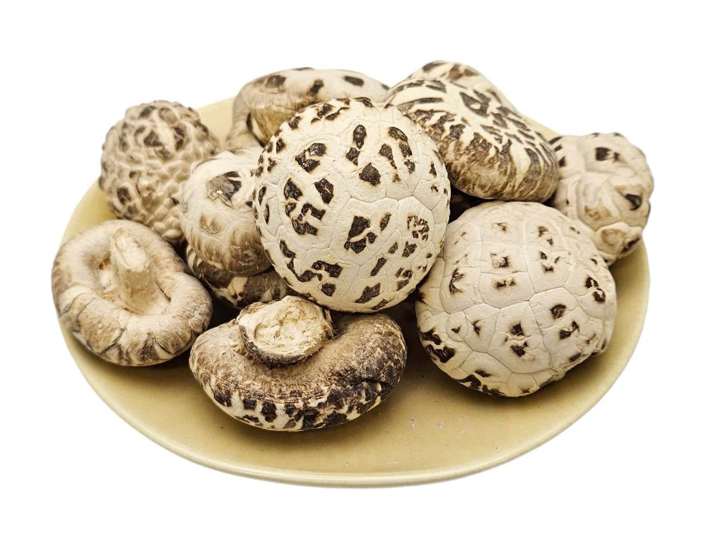 SNOW WHITE DRIED SHIITAKE MUSHROOM 星宇天白花菇(3.3-4CM)