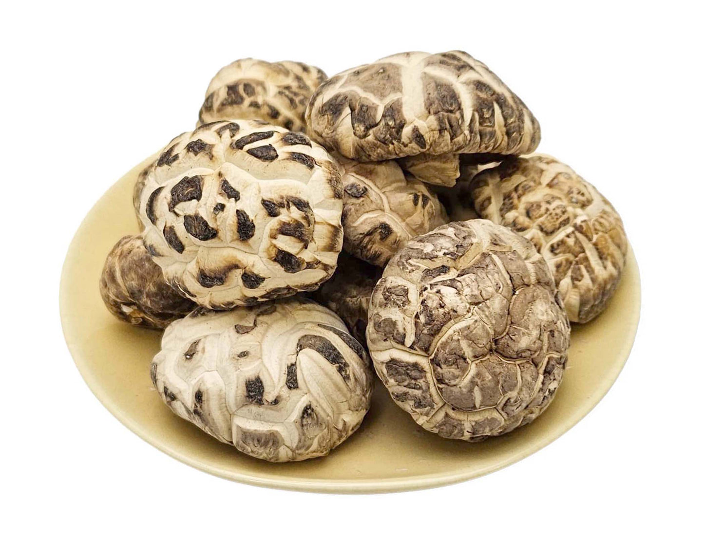 WHITE DRIED SHIITAKE MUSHROOM 星宇  白花菇(4-5 CM)