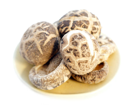 BIONIC WOOD TEA SHIITAKE MUSHROOM 仿木茶花菇(椎茸)(4-5CM)