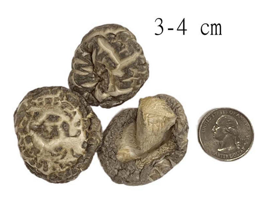 TEA DRIED SHIITAKE MUSHROOM 金常來 茶花菇(3-4 CM)