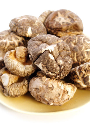 TEA DRIED SHIITAKE MUSHROOM 金常來 茶花菇(4-5 CM)