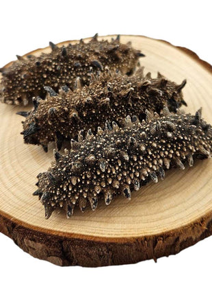DRIED SEA CUCUMBER FROM JAPAN (KANTO) 日本 關東刺參 (40-45PC/LB)