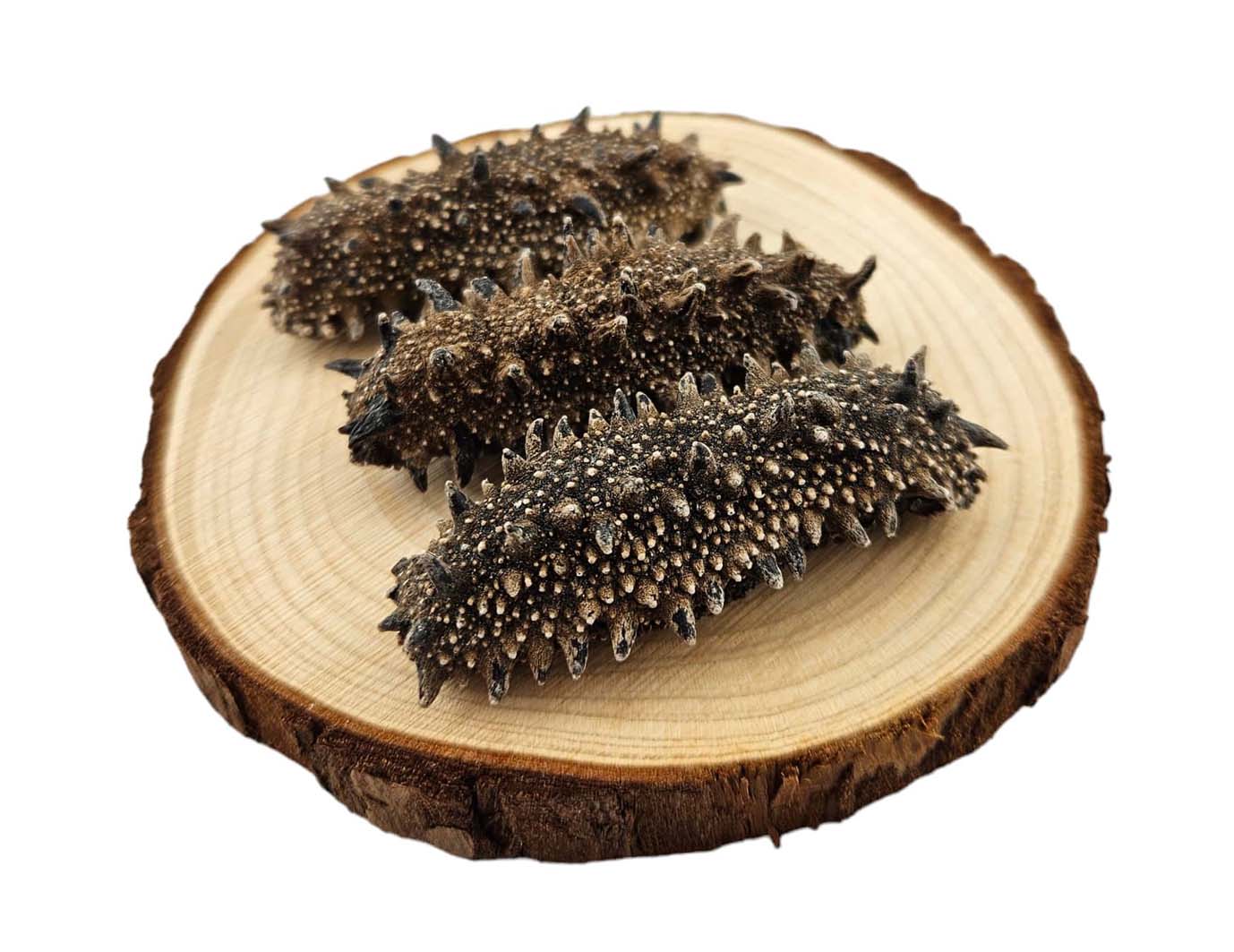 DRIED SEA CUCUMBER FROM JAPAN (KANTO) 日本 關東刺參 (40-45PC/LB)