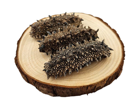 DRIED SEA CUCUMBER FROM JAPAN (KANTO) 日本 關東刺參 (40-45PC/LB)