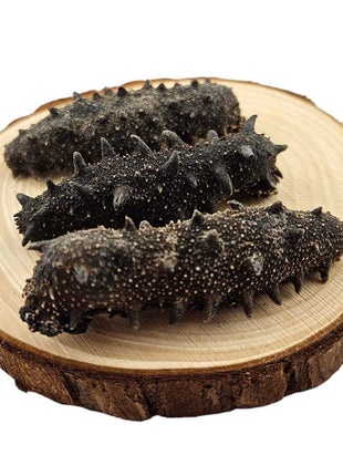 WILD DRIED PRICKLY SEA CUCUMBER FROM SOUTH KOREA (EAST SEA) 韓國 東海野生刺參