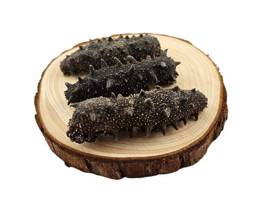 WILD DRIED PRICKLY SEA CUCUMBER FROM SOUTH KOREA (EAST SEA) 韓國 東海野生刺參