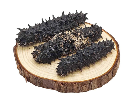 WILD DRIED PRICKLY SEA CUCUMBER FROM EAST SEA KOREA 韓國 東海野生木刺參