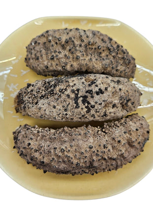 MEXICO SEA CUCUMBER 墨西哥灣刺參
