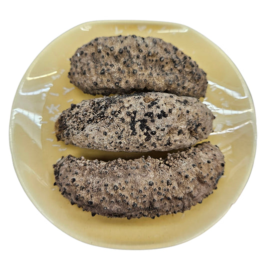 DRIED PRICKLY SEA CUCUMBER 墨西哥灣刺參