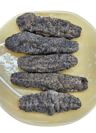 SOUTH AMERICA SEA CUCUMBER 南美 刺參