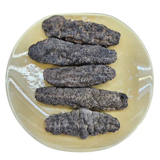 DRIED PRICKLY SEA CUCUMBER FROM SOUTH AMERIC 南美 刺參