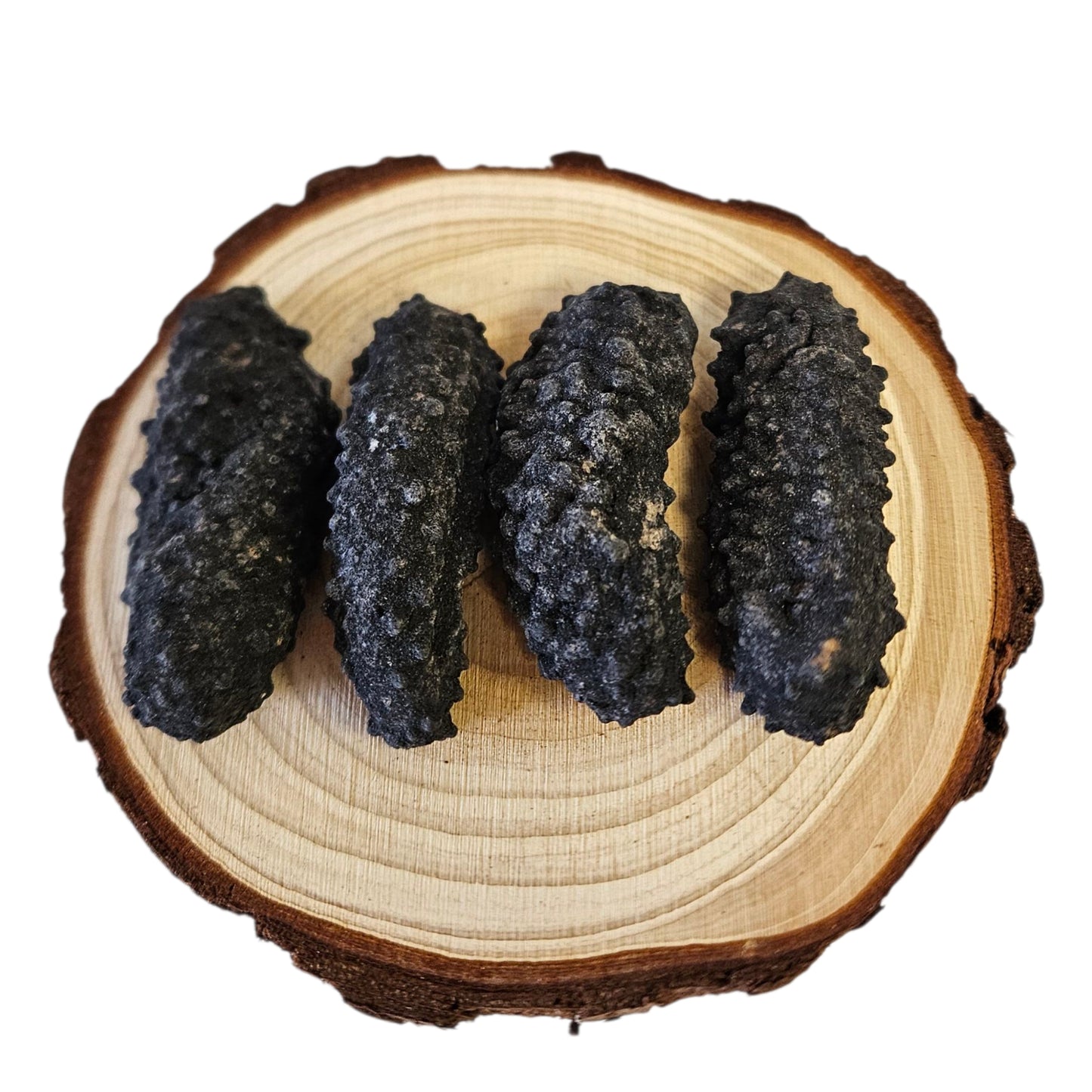 DRIED SEA CUCUMBER FROM MEXICO (GULF OF CALIFORNIA) 加州灣腰刺參( 25-30PC/LB)