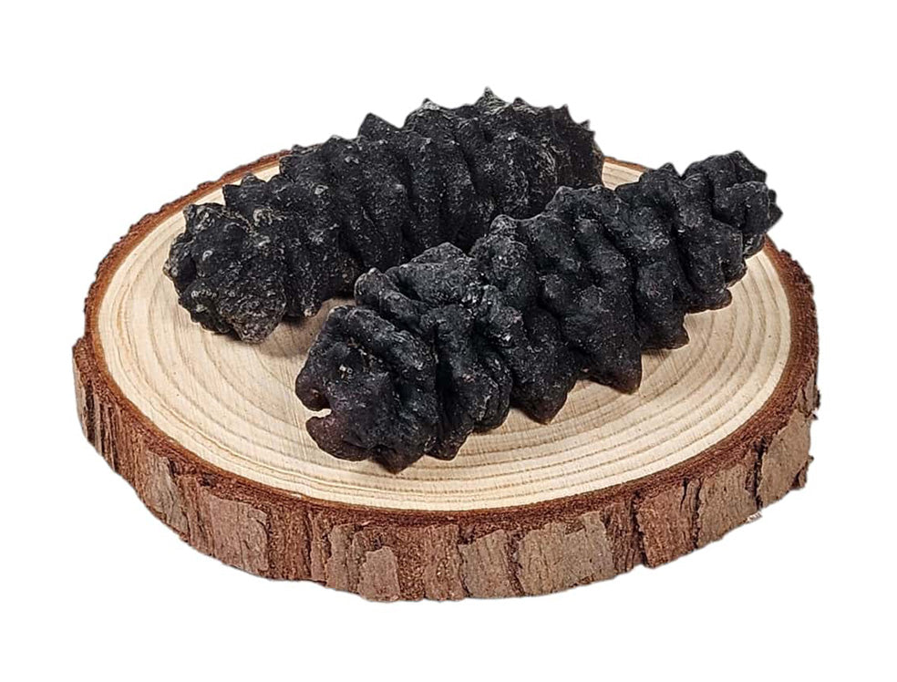 DRIED PRICKLY SEA CUCUMBER (GUI HUA CEN)  南美 桂花刺參(LB)