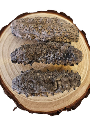 DRIED SEA CUCUMBER FROM JAPAN  日本 關東野生刺參( 50-60PC/LB)