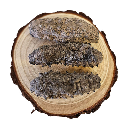 DRIED SEA CUCUMBER FROM JAPAN  日本 關東野生刺參( 50-60PC/LB)