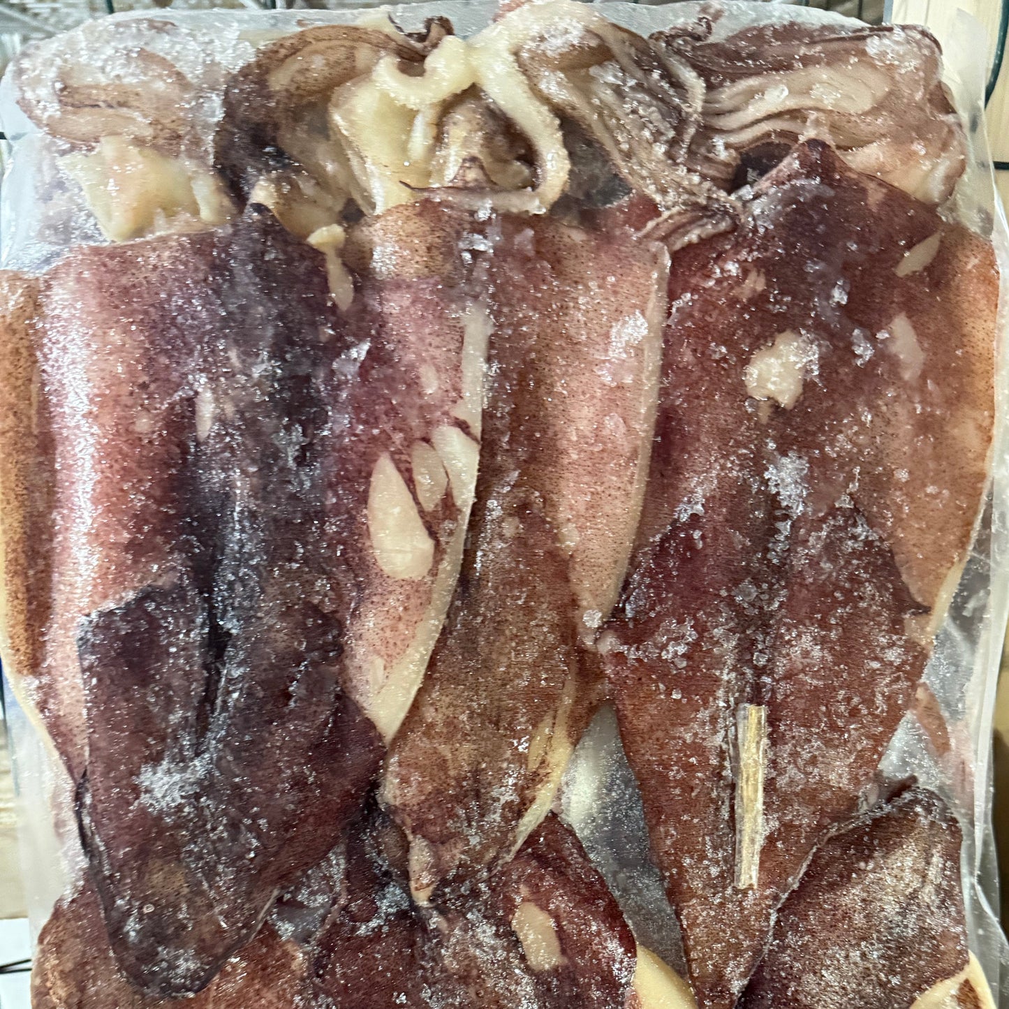 DRIED SQUID FROM ARGENTINA-AA  阿根廷 魷魚-AA 22LB
