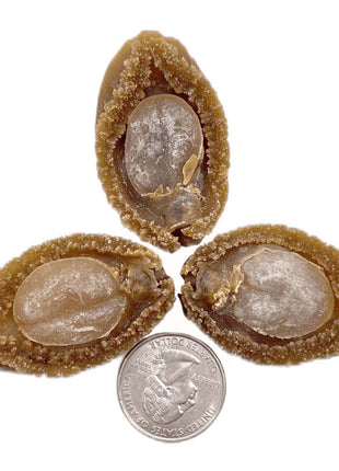 JAPAN AGED SUN-DRIED ABALONE 日本 溏心吉品鮑(35-36 頭)