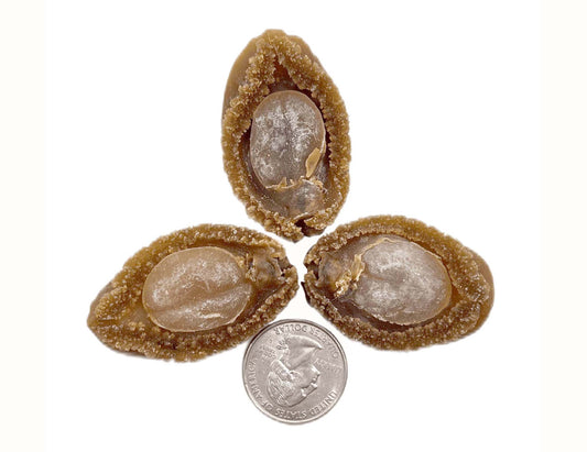 JAPAN AGED SUN-DRIED ABALONE 日本 溏心吉品鮑(35-36 頭)