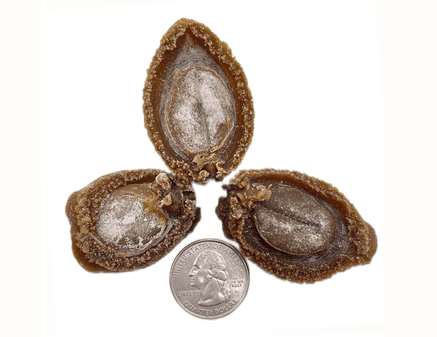 JAPAN AGED SUN-DRIED ABALONE 日本 溏心吉品鮑（45 頭）