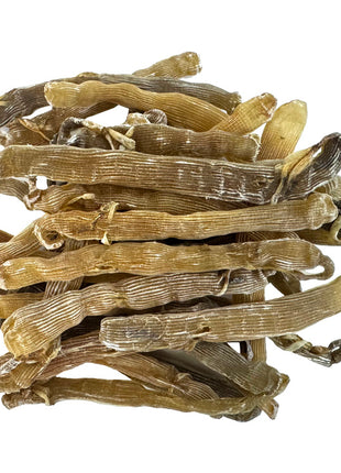 DRIED SANDWORM (SHA CHONG GAN) 中國 沙蟲乾