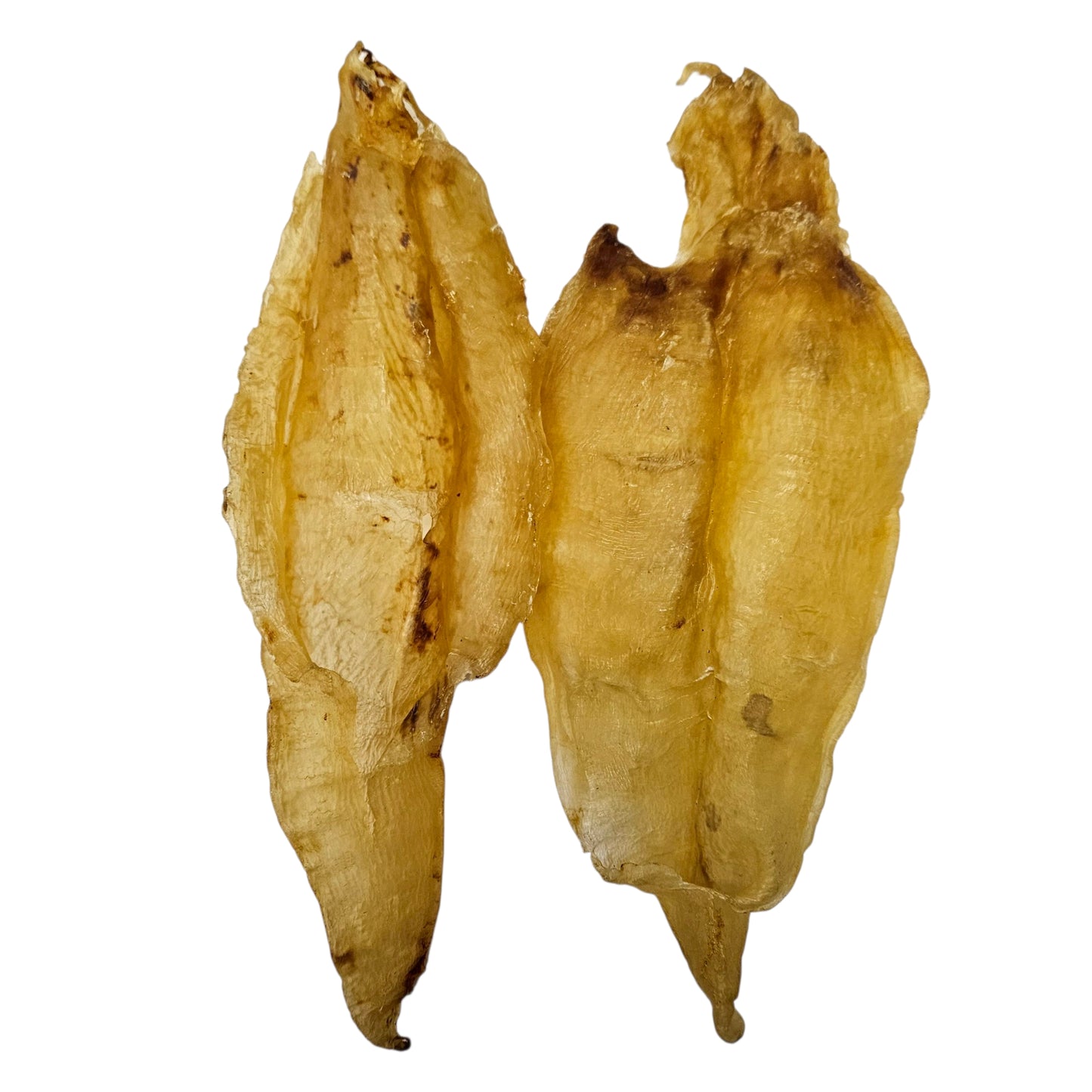 ECUADOR DRIED FISH MAW (FEMALE) 厄瓜多爾 黃花母膠 （4-5PC/LB)