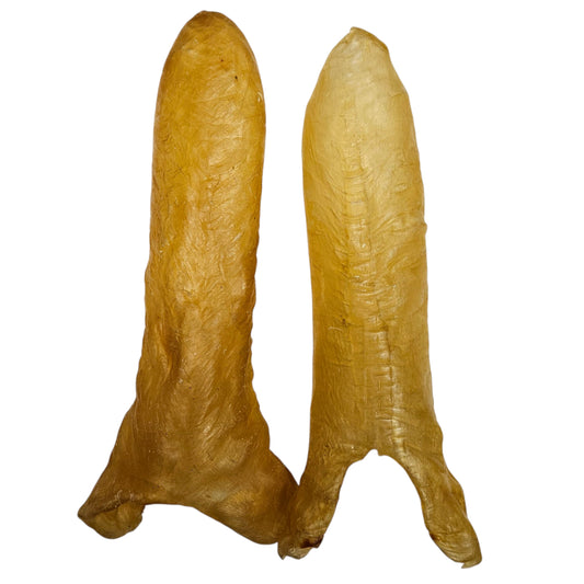 AFRICA DRIED TUBE FISH MAW 南非 黃花筒膠 (4-5PC/LB)