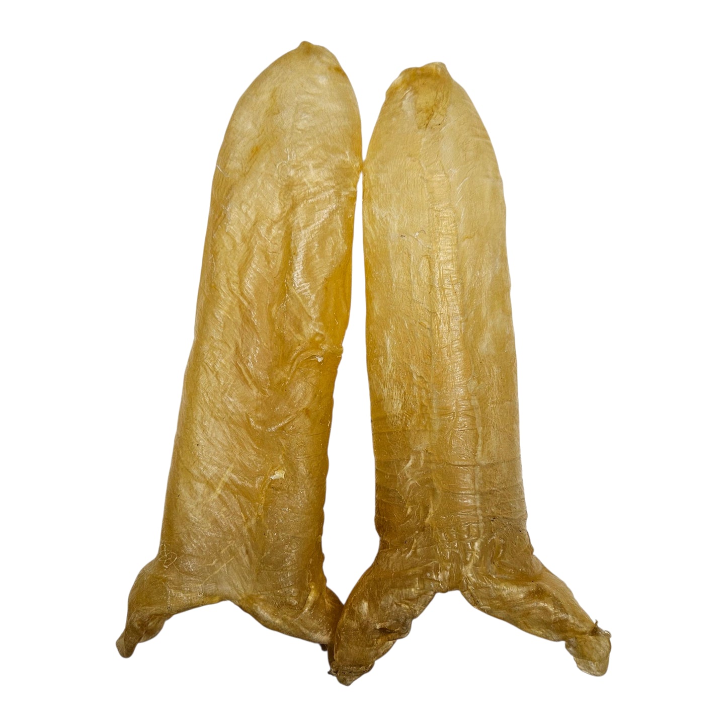 AFRICA DRIED TUBE FISH MAW 南非 黃花筒膠 (6PC/LB)
