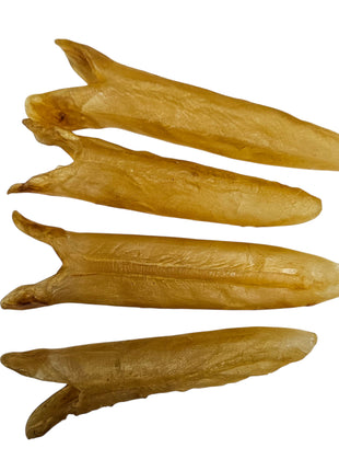 AFRICA DRIED TUBE FISH MAW 南非 黃花筒膠 (40-45PC/LB)