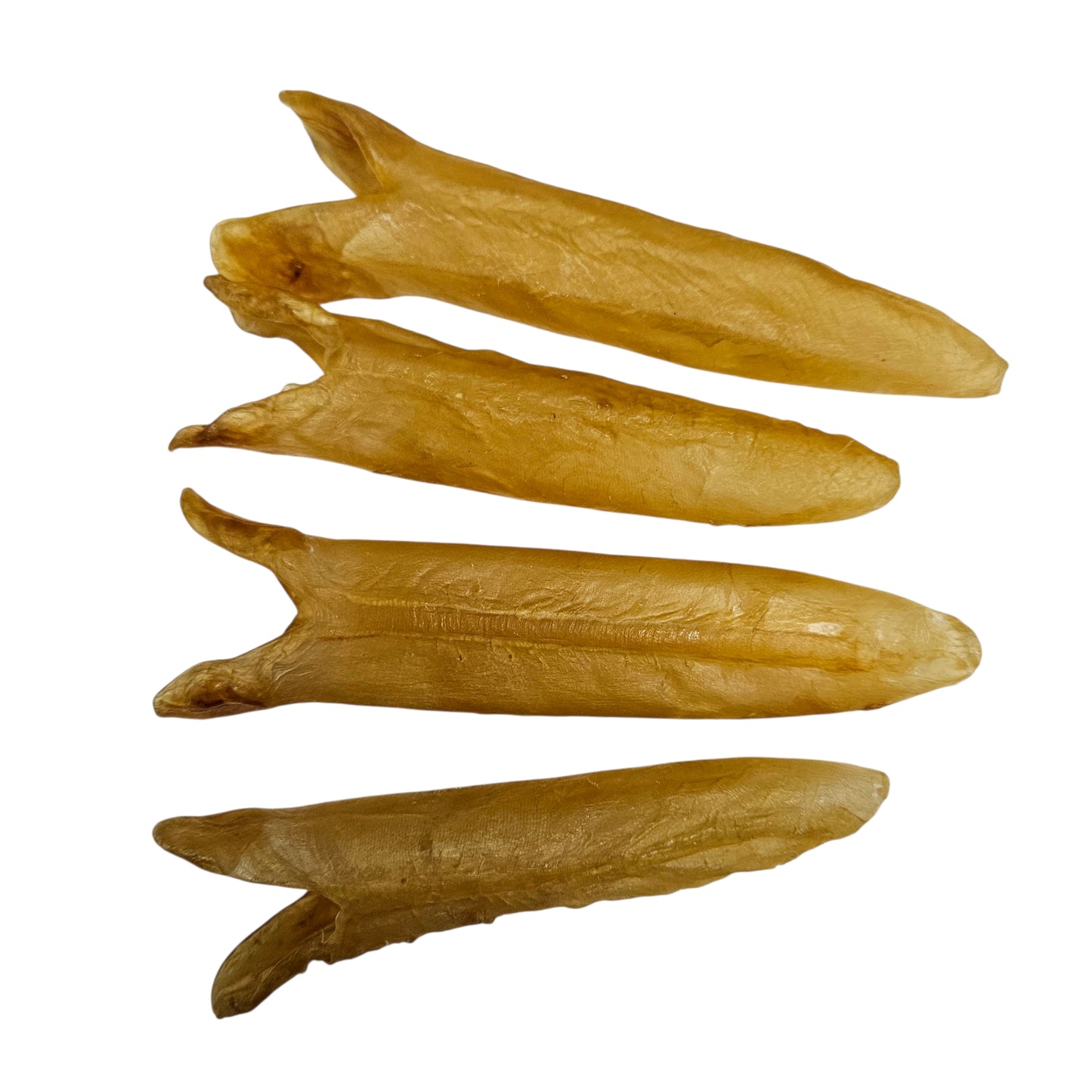 AFRICA DRIED TUBE FISH MAW 南非 黃花筒膠 (40-45PC/LB)