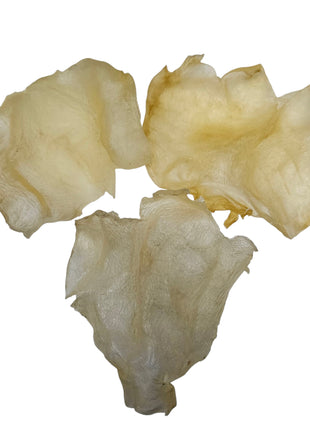 WEST AFRICA MEDIUM DRIED THICK BUTTERFLY FISH MAW 西非 蝴蝶膠 (6-8PC/LB)