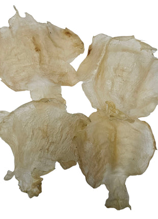 WEST AFRICA MEDIUM DRIED THICK BUTTERFLY FISH MAW 西非 蝴蝶膠 (9-11PC/LB)