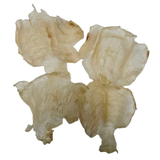 WEST AFRICA MEDIUM DRIED THICK BUTTERFLY FISH MAW 西非 蝴蝶膠 (9-11PC/LB)