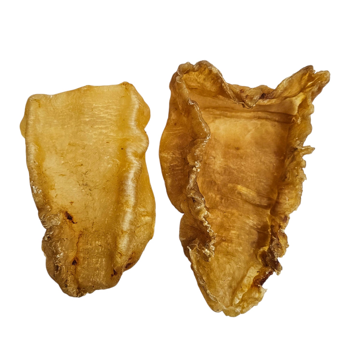 WEST AFRICA PREMIUM DRIED FISH MAW 西非 魚膠*斗湖特級敏魚膠*(50-150G/PC)