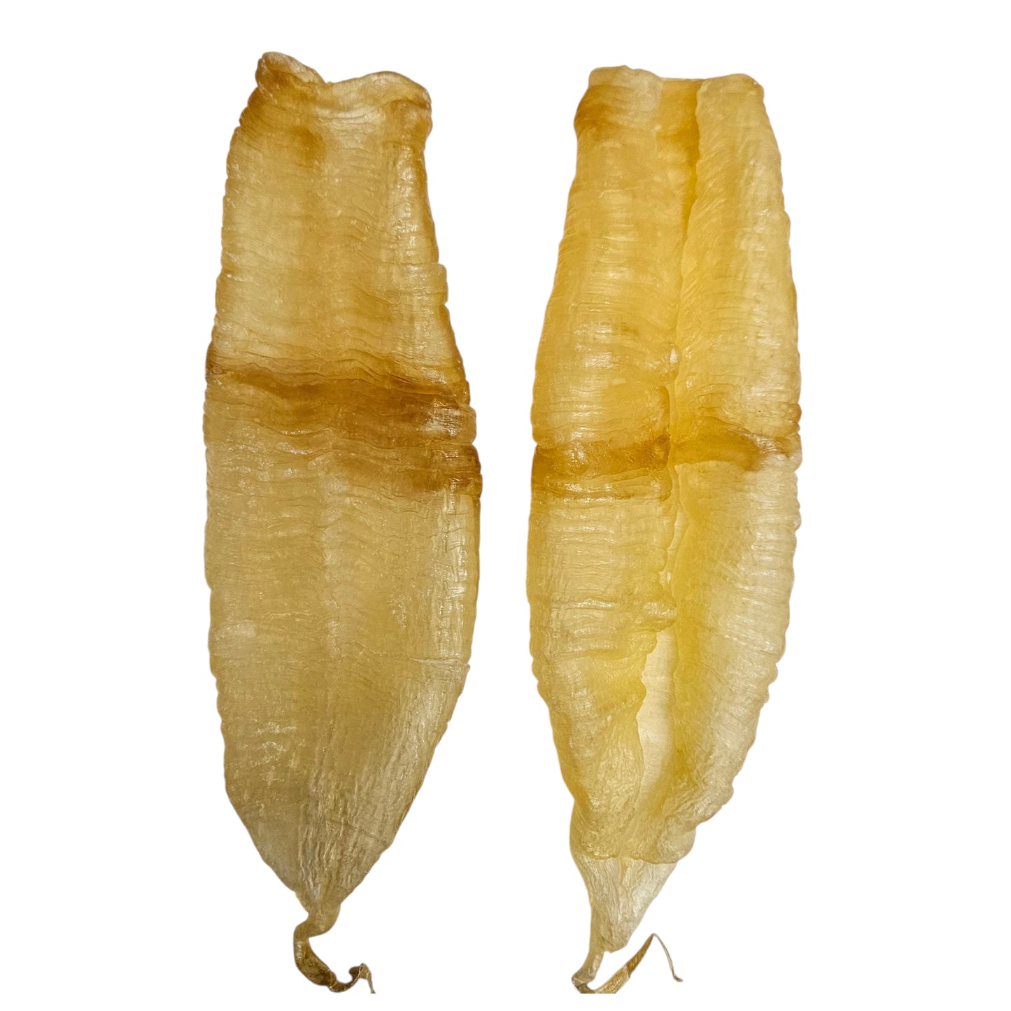 DRIED FISH MAW 本地 安南膠(100-140G/PC)