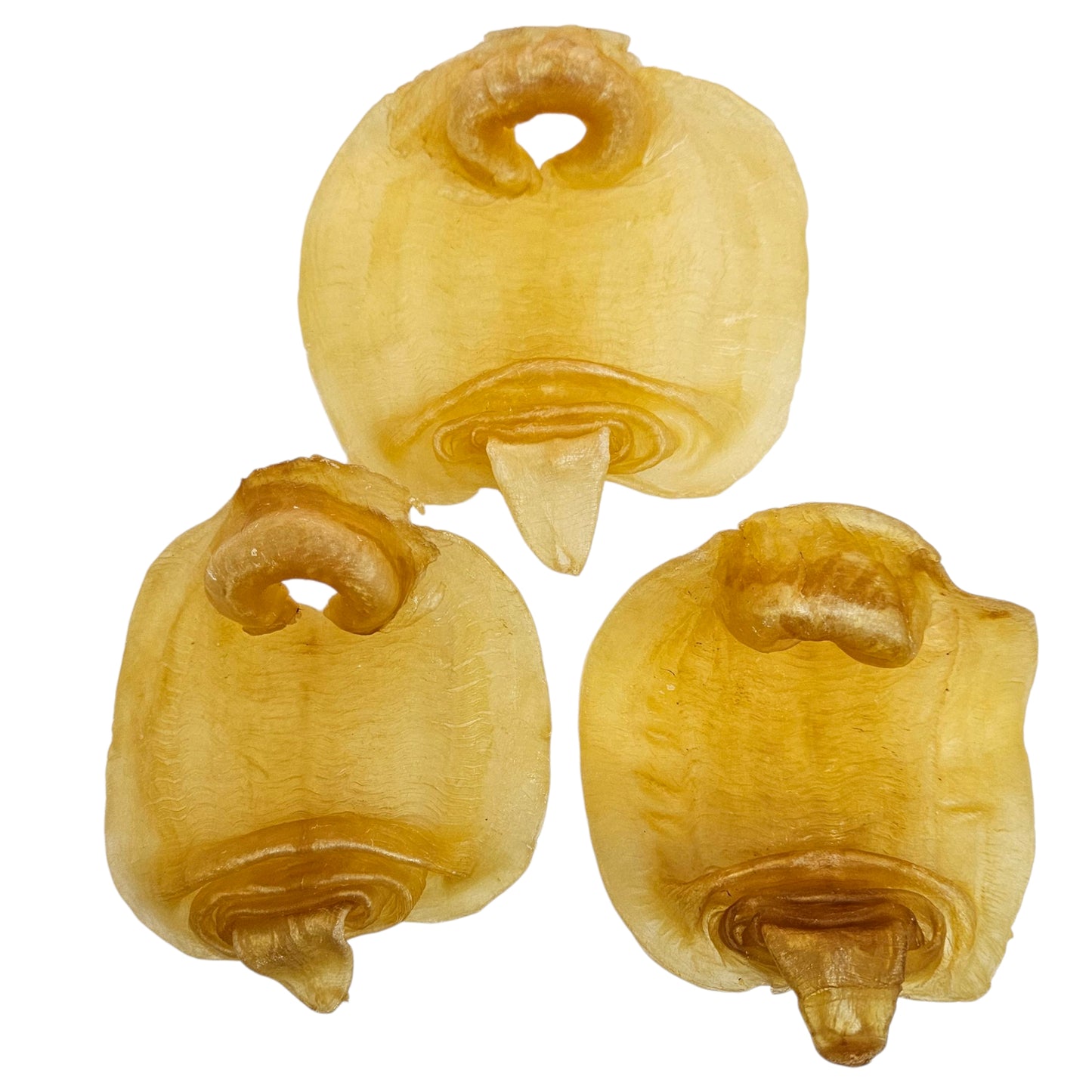 DRIED FISH MAW 本地 白花膠王(公母膠)