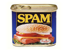 SPAM LUNCHEON MEAT LITE 午餐肉(12 OZ)