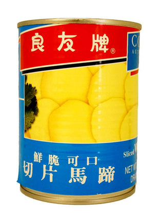 COMPANION SLICED WATER-CHESTNUT IN WATER 良友 馬蹄片(12 OZ)