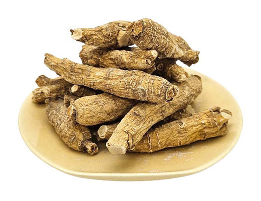 WISCONSIN GINSENG ROOT TWIG LARGE SIZE 威省 原枝花旗參*大枝*