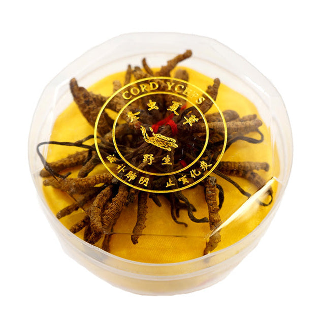 DRIED CORDYCEPS  西藏冬蟲夏草(8 G)