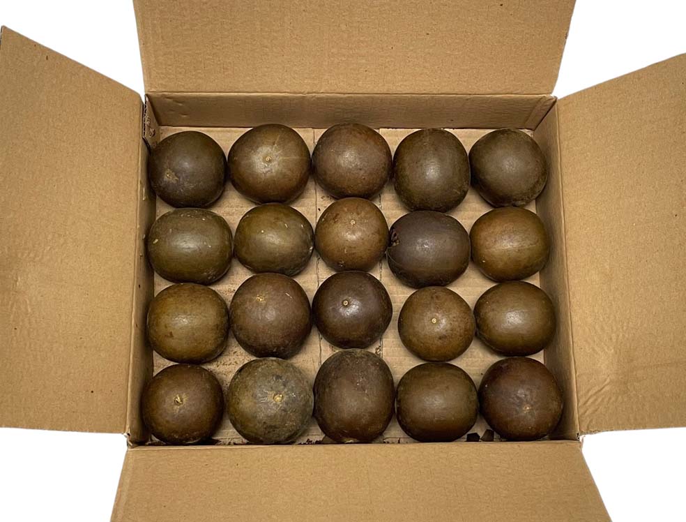 FRUCTUS MOMORDICAE  (LUO HAN GUO) 中國 羅漢果 *中*(20 PCS)