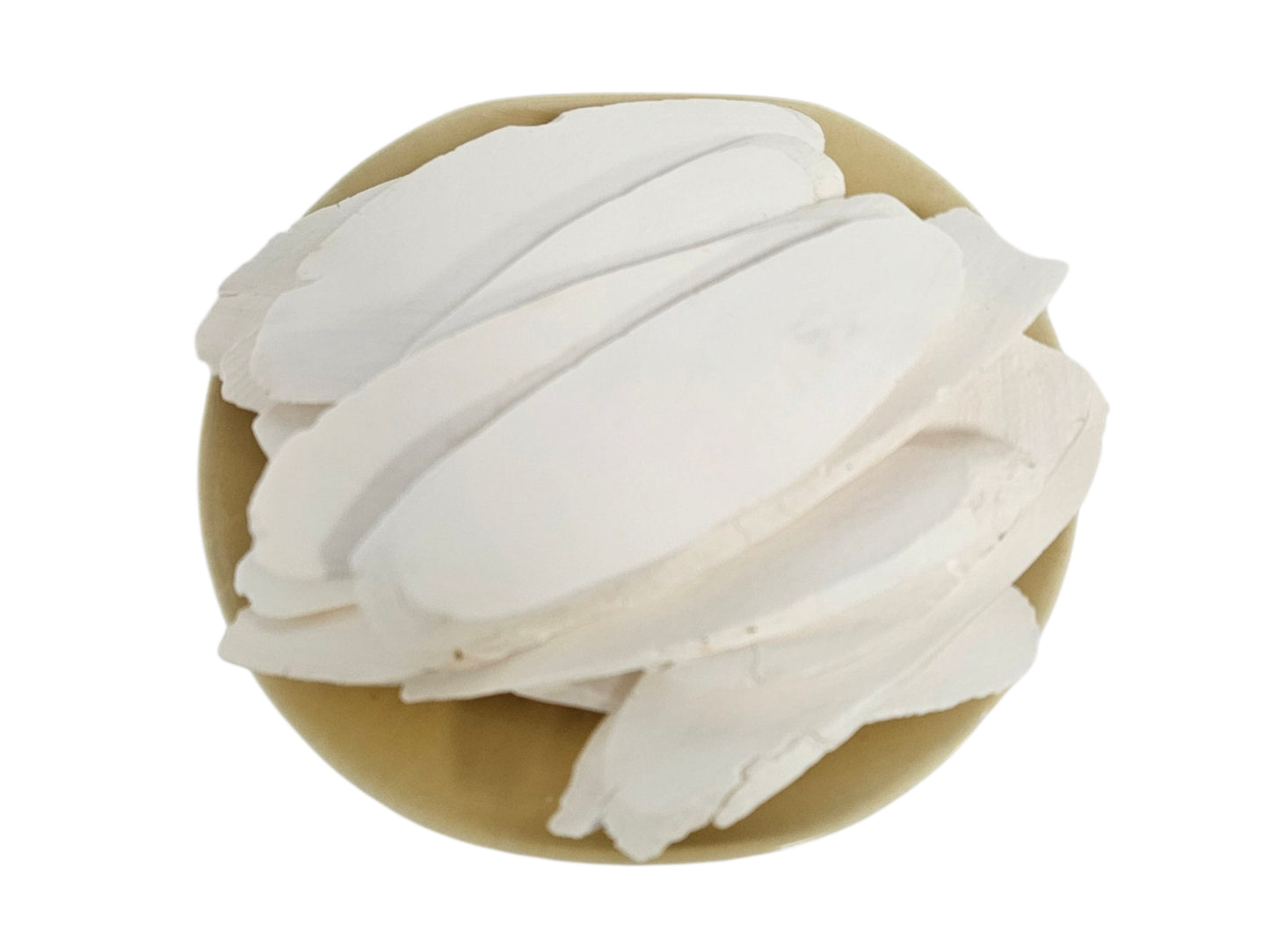 CHINESE YAM RHIZOME 中國 淮山角(3 KG)