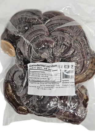 GANODERMA LUCIDUM 日本  紅靈芝(16 OZ)