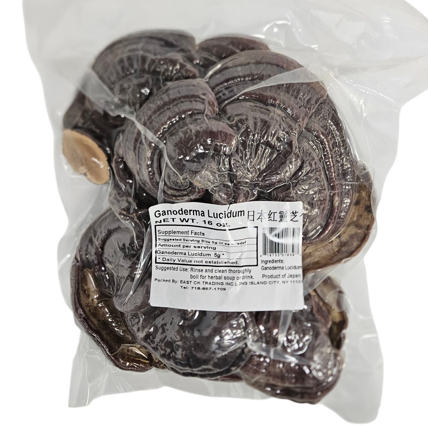 GANODERMA LUCIDUM 日本  紅靈芝(16 OZ)