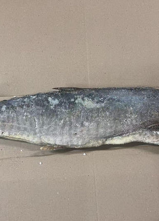 SINGAPORE SALTED MACKEREL  星州 梅香馬鮫魚肉*去頭有骨*L(55 LB)