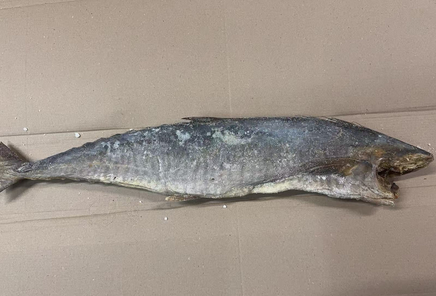SINGAPORE SALTED MACKEREL  星州 梅香馬鮫魚肉*去頭有骨*L(55 LB)