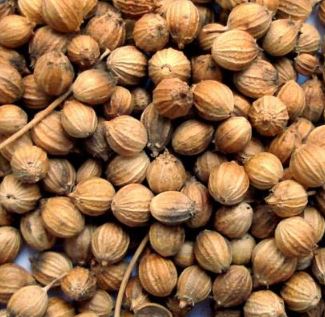 DRIED CORIANDER SEED 紅碗 芫茜子(17.6 OZ)