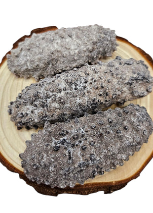 SOUTH AMERICA SEA CUCUMBER 南美 腰參