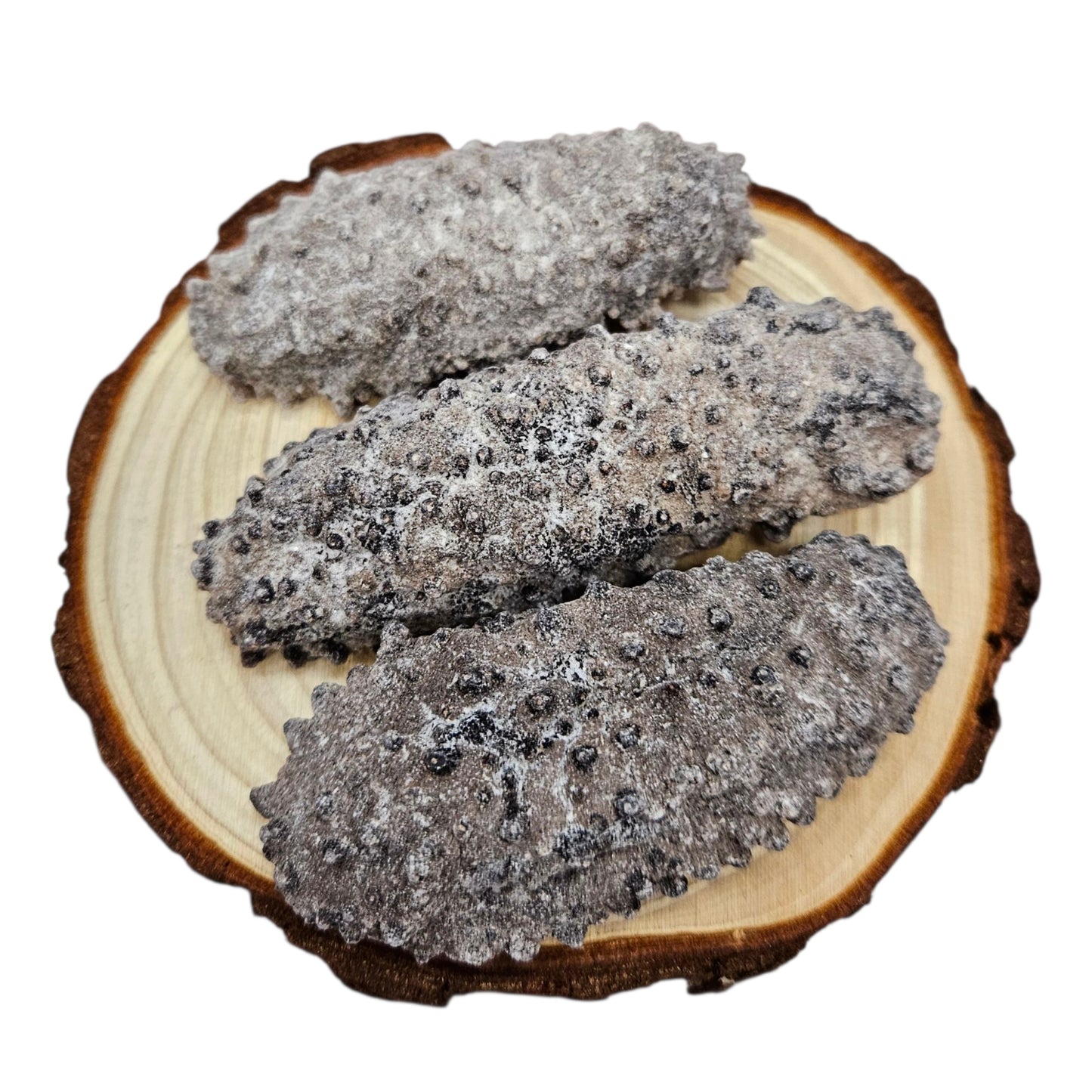 DRIED PRICKLY SEA CUCUMBER FROM SOUTH AMERICA  南美 腰參