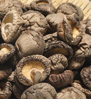 DRIED SHIITAKE MUSHROOM  金常來 光面菇（3-4CM）